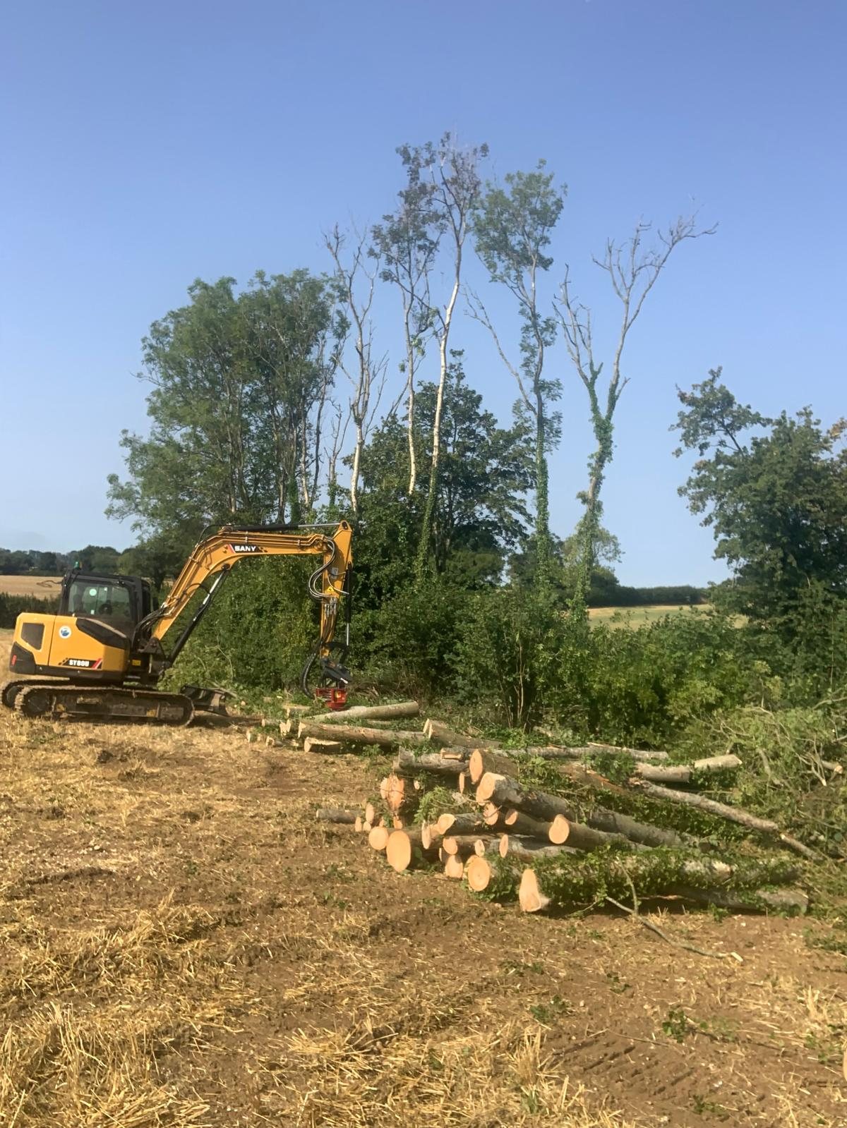 Forestry excavator at a cleared site