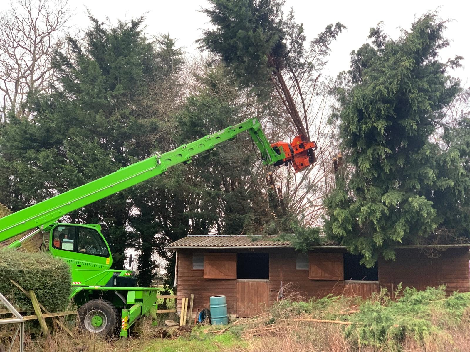 Green forestry machine working among trees