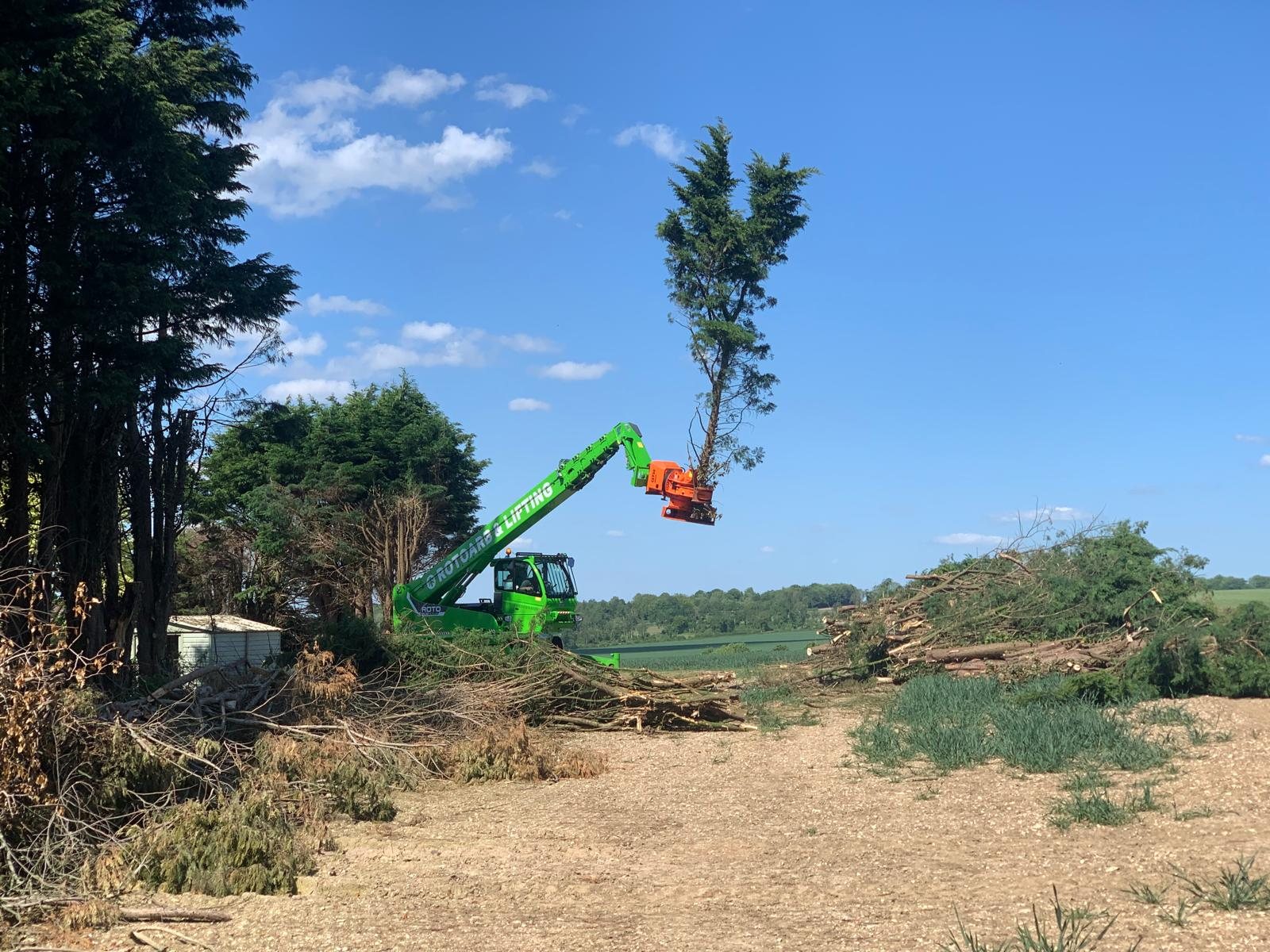 Green lifting machine at a tree work site