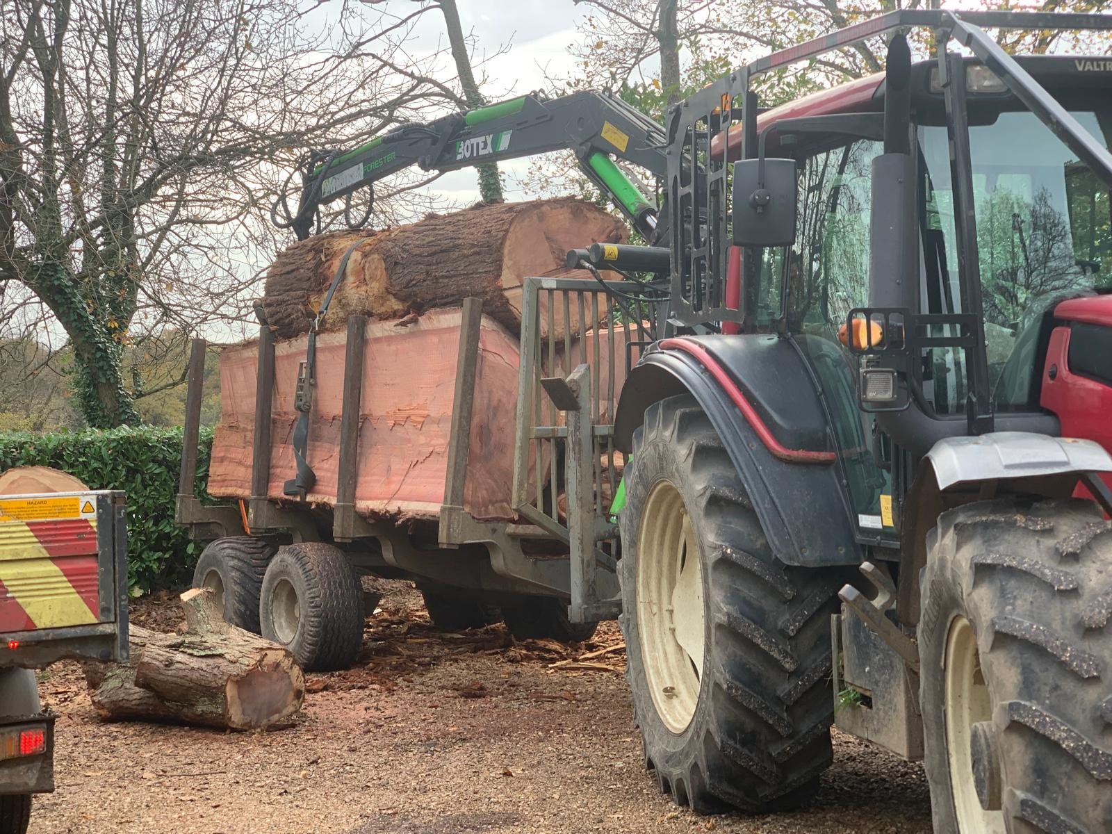 Tractor and timber trailer in a woodland operation