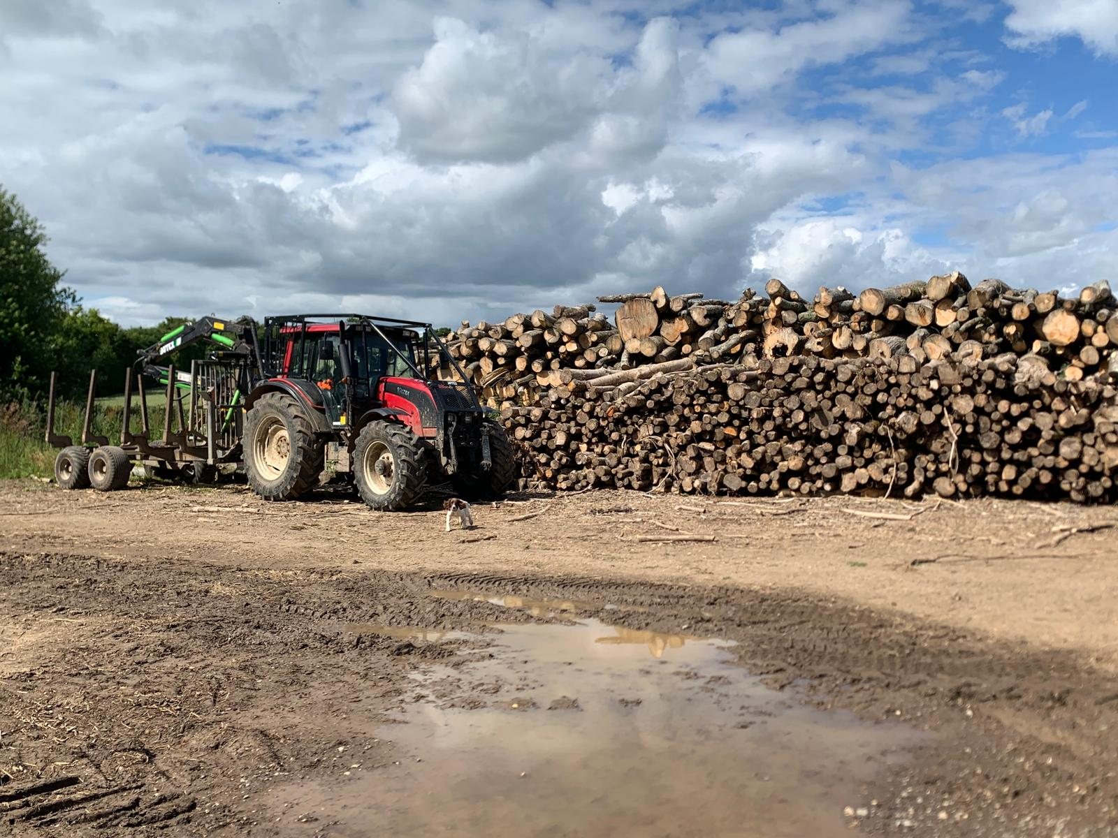 Tractor beside a large timber stack